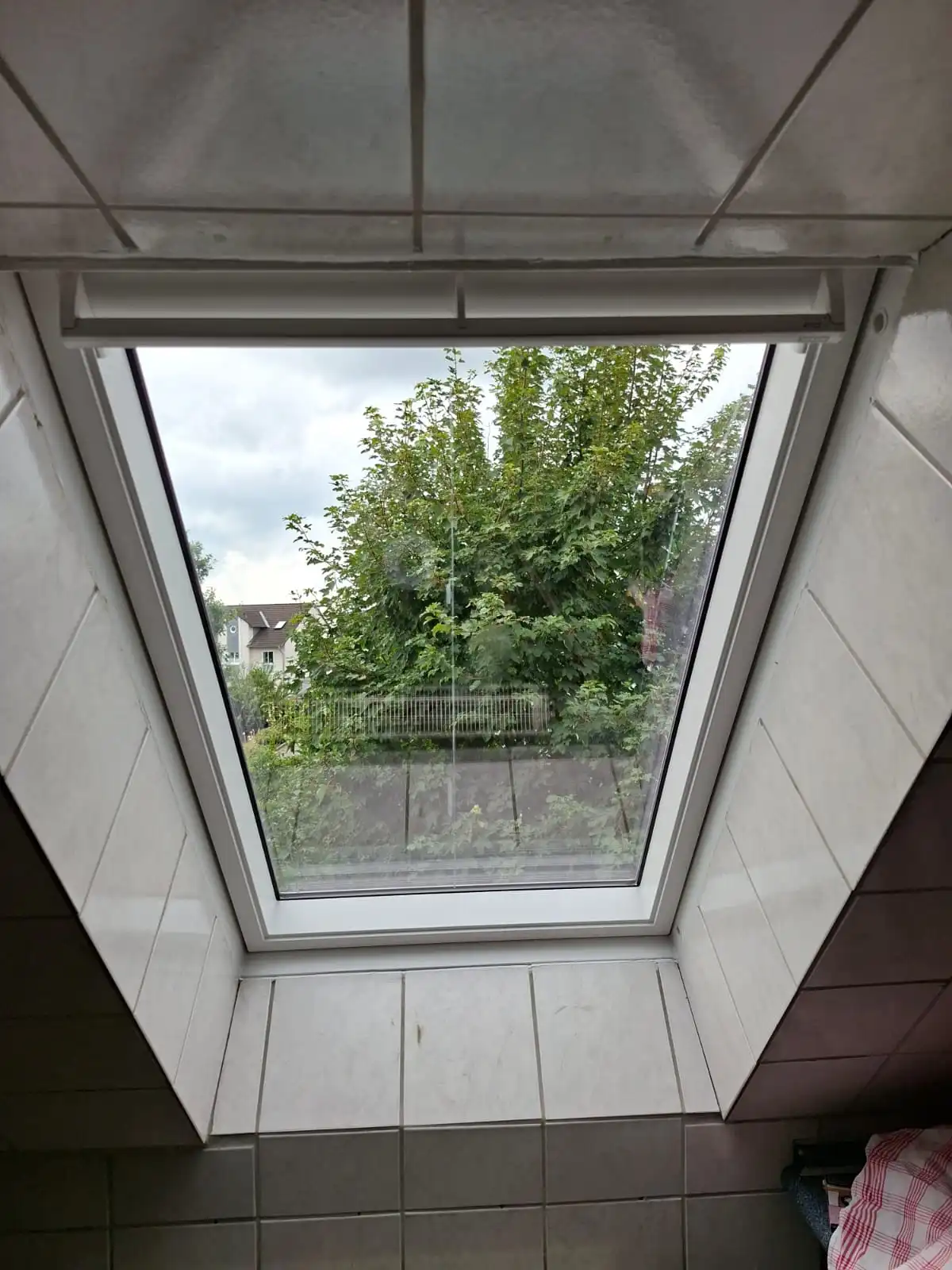 Blick durch ein neu eingesetztes weißes Dachfenster auf einen Baum und Nachbarhäuser bei bewölktem Himmel